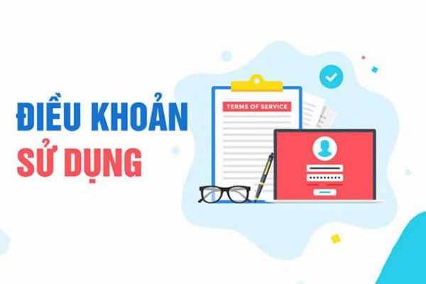 Điều khoản sử dụng website